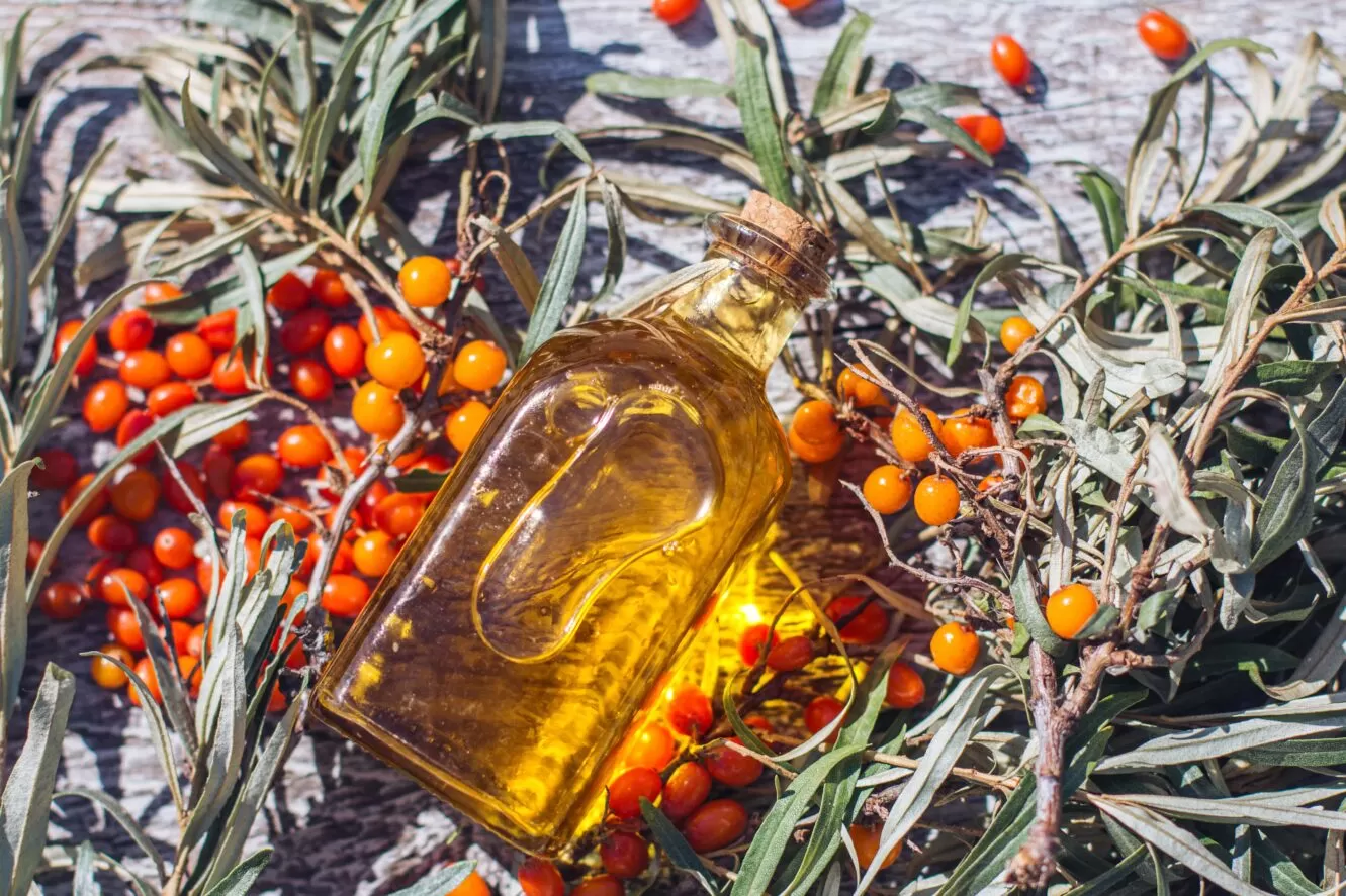 Sea Buckthorn: Does It Really Boost Collagen?