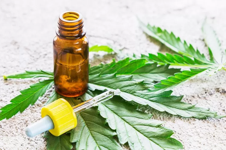 Promising Research Suggests CBD May Help Alleviate Autism Symptoms
