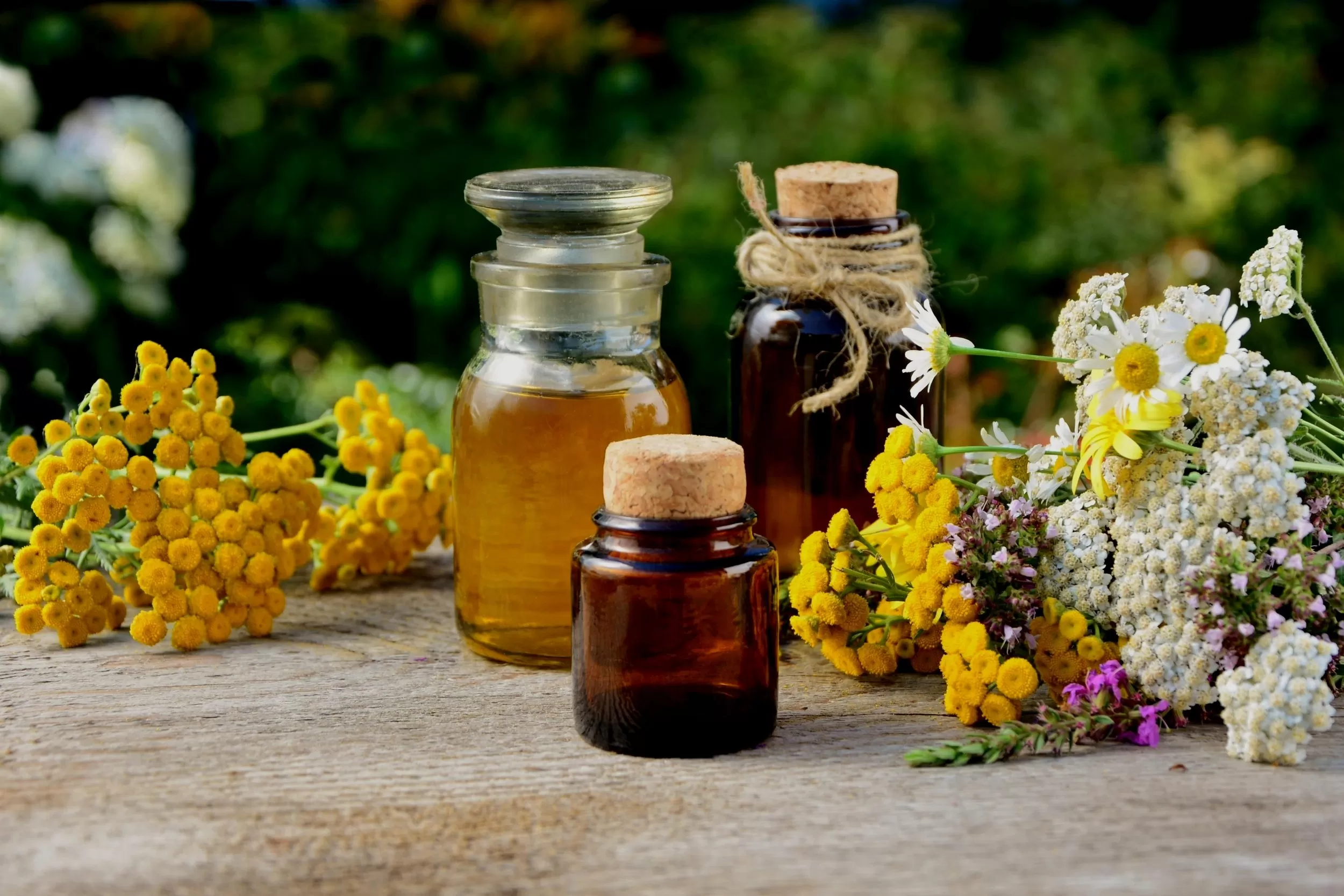 Evaluating Extracts and Oils: Which Is Better for Health and