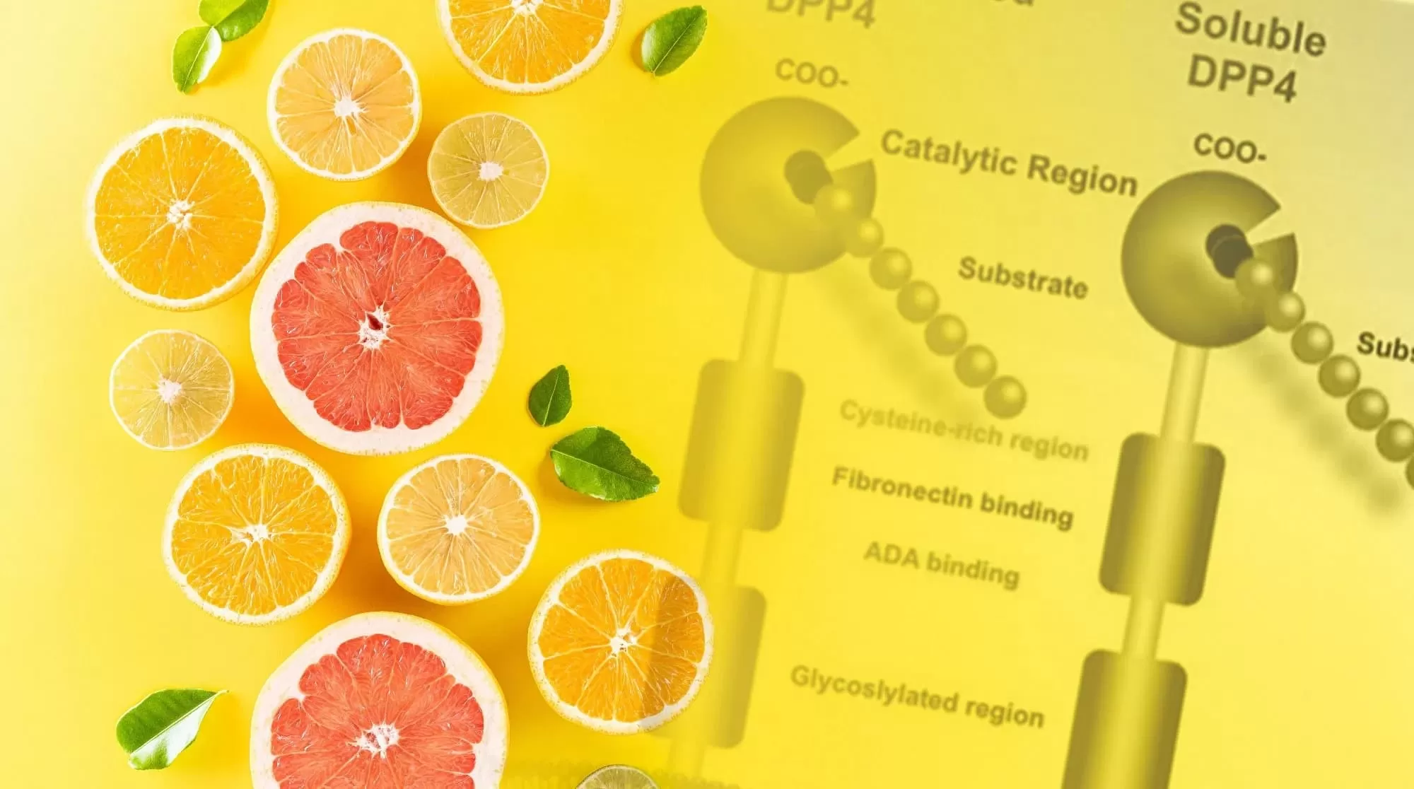 Health Benefits of Bioflavonoids: Nature's Potent Compounds