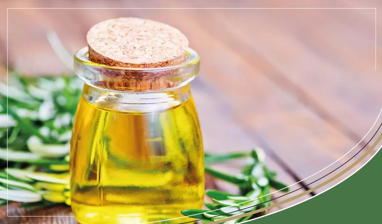 Rethinking Antibiotics: Embracing Natural Alternatives