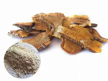 Liposomal Curcumin and Resveratrol: A Powerful Antioxidant Duo