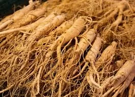 Unlocking the Anti-Aging Potential of Compound K: Ginseng’s Gut-Driven Remedy