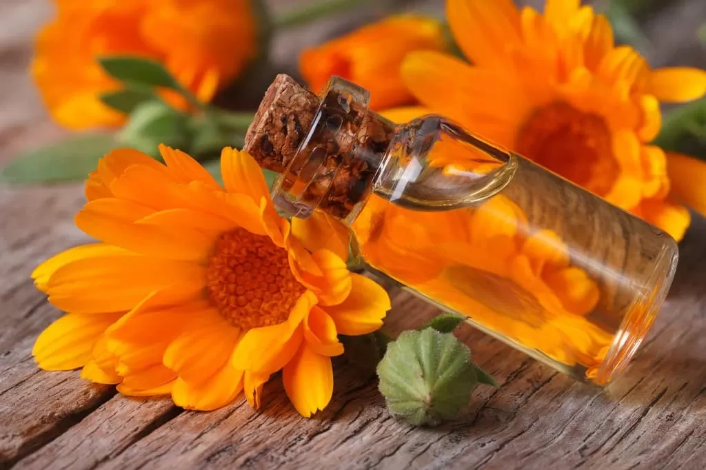 Can we apply marigold on face?