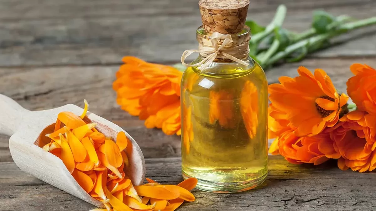 Is Marigold Good for Eczema?