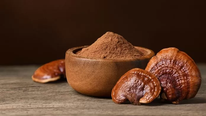 Why is Reishi so good?