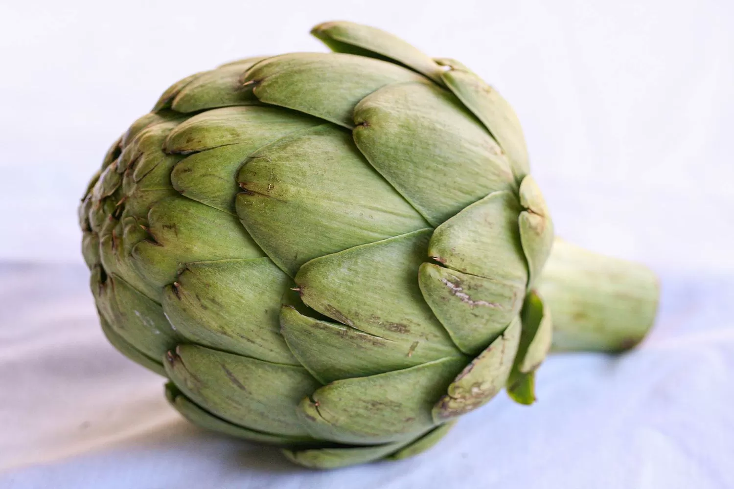 Can I Drink Artichoke Tea Every Day? Exploring the Benefits 