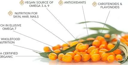 What does sea buckthorn juice do for skin?