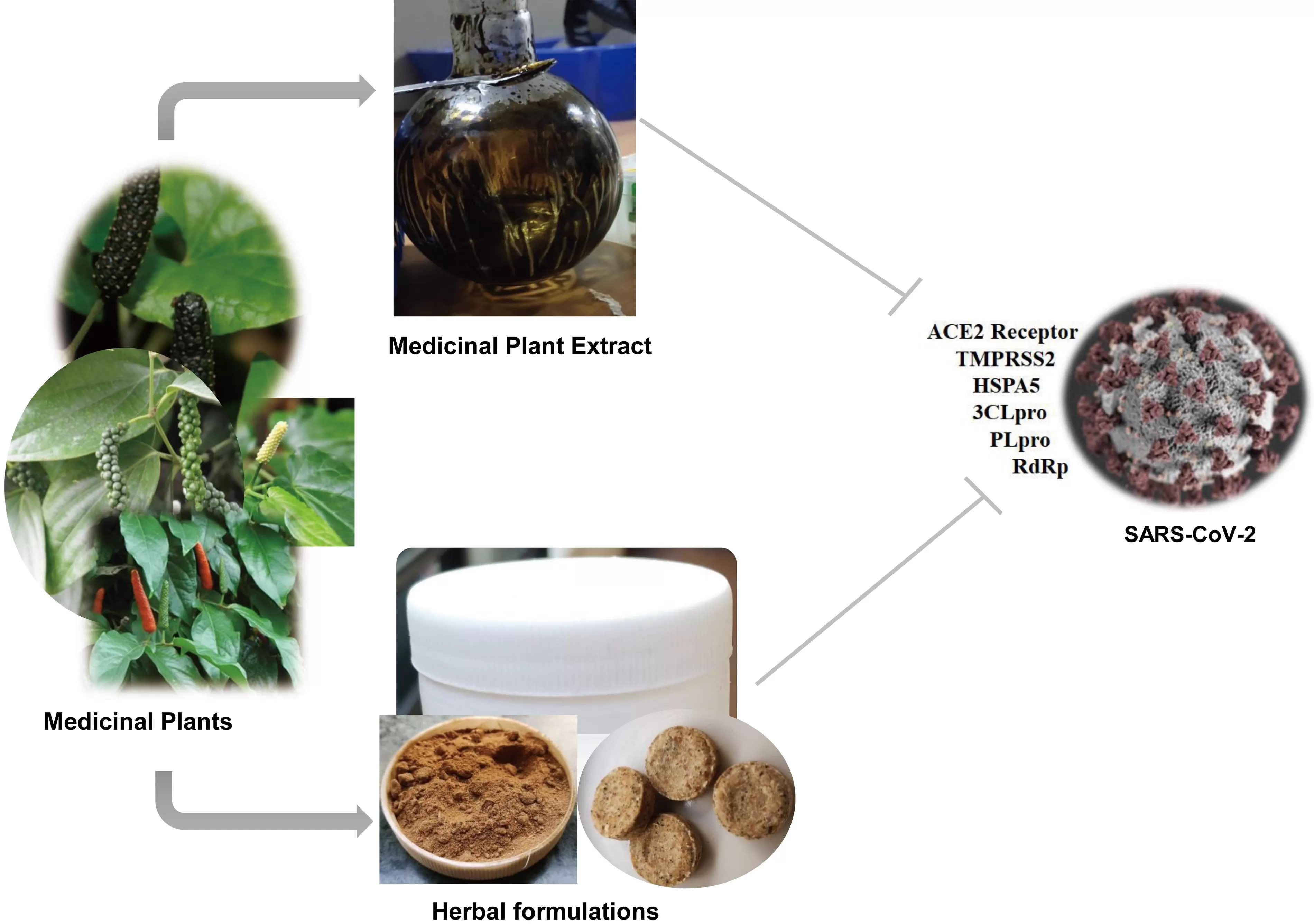 Is It Possible to Make Your Own Extract? A Guide to DIY Herb