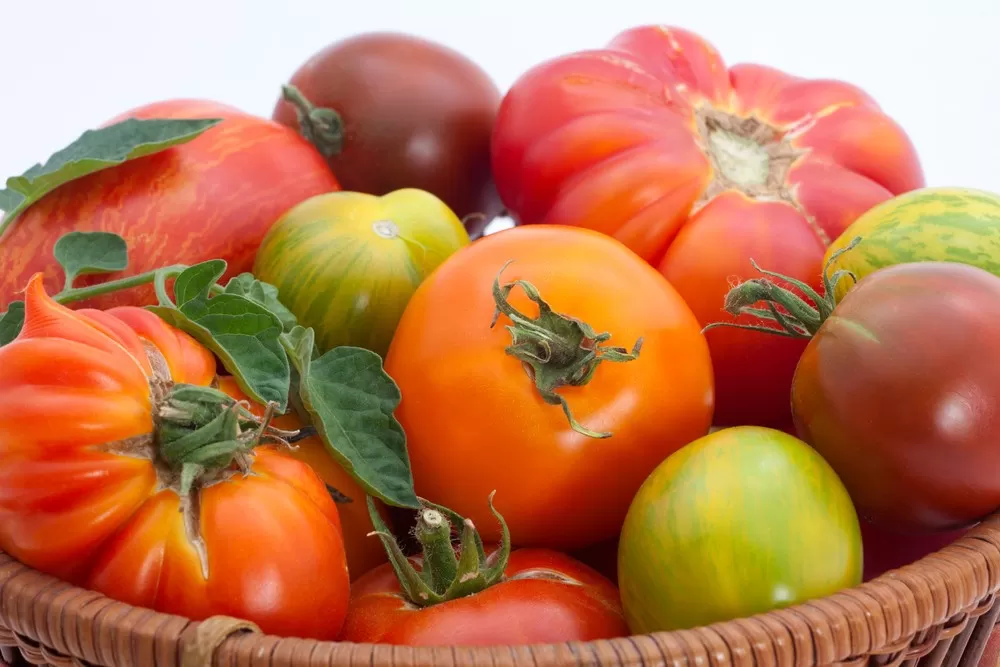 Is Lycopene Good for Hair?