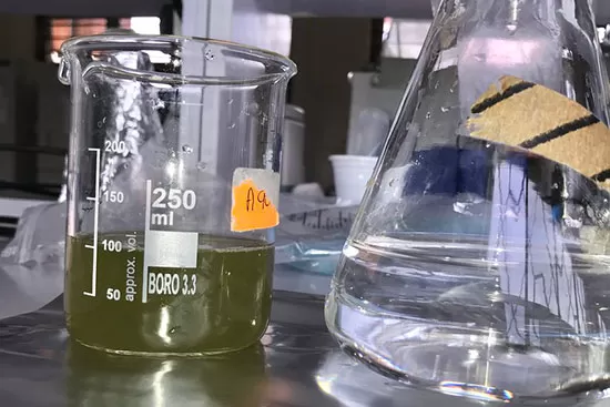 The Versatility of Extracts: An In-Depth Exploration of Vani