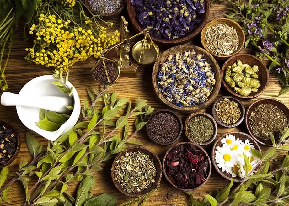 Herbs vs Extracts: what is the Differences?