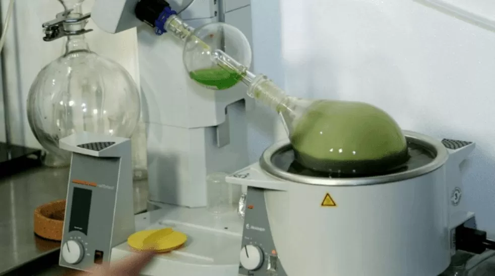 Are Extracts Good for You? Exploring Their Benefits and Pote
