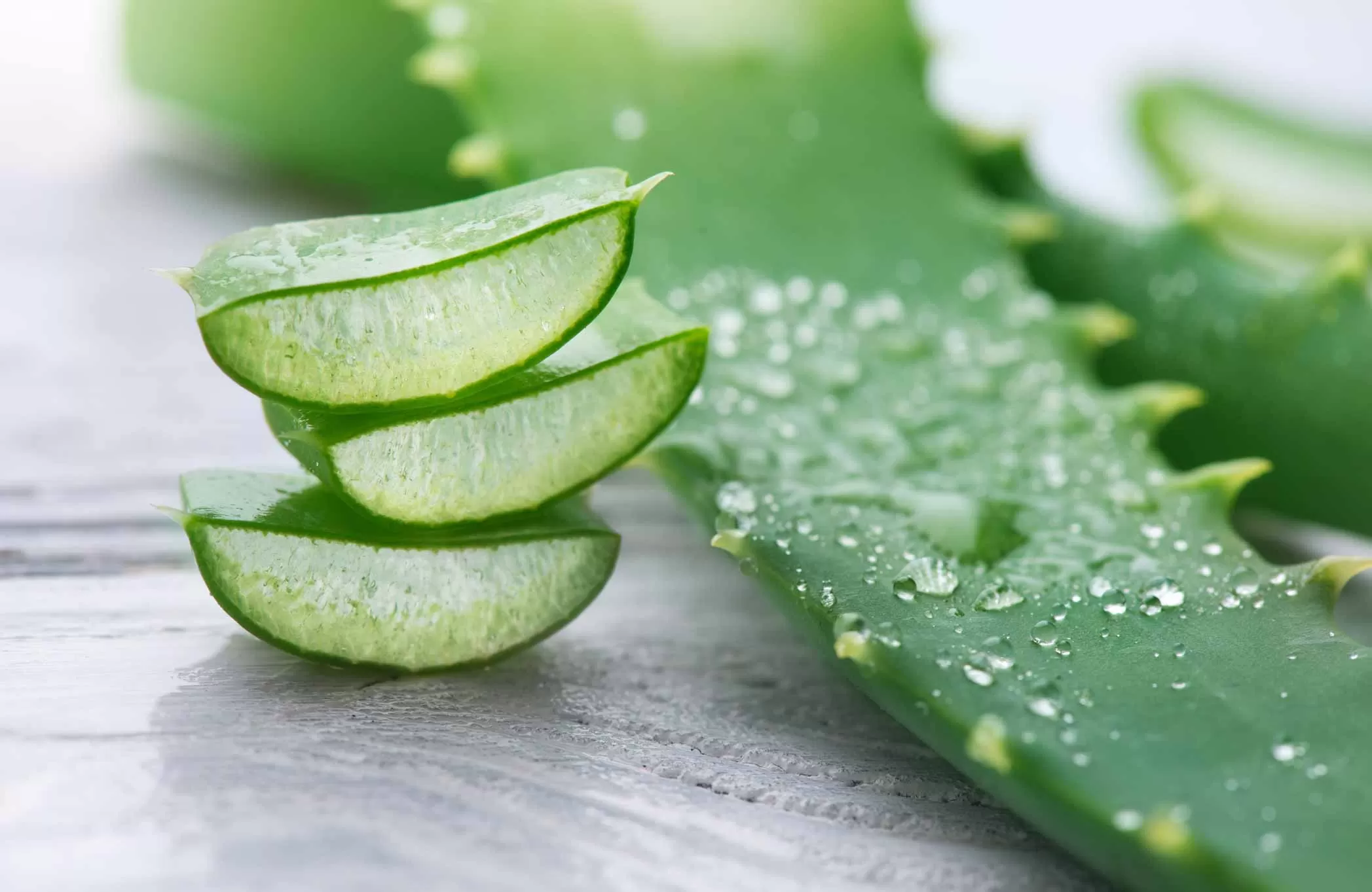 Aloe Vera: History, Benefits and Culinary Uses