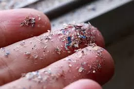 Microplastics Everywhere: How to Reduce Your Exposure