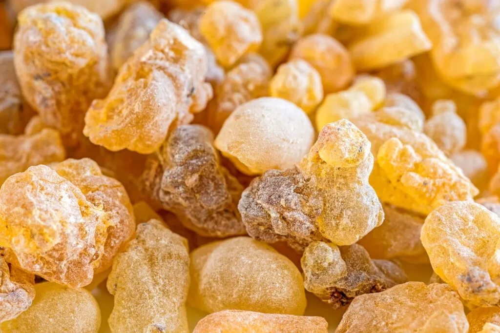Evaluating the Safety of Boswellia for Liver Health: A Compr