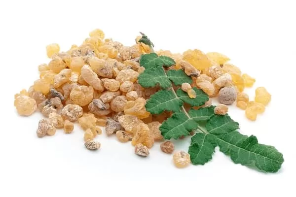 Boswellia: Is This Ancient Remedy the Key to Anti-Aging?
