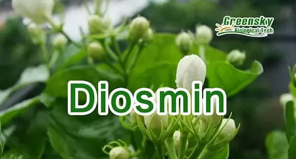  Diosmin: What Foods Contain This Beneficial Compound?