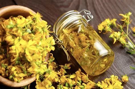 Why use plant extract?