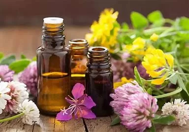  What is the strongest essential oil for pain?