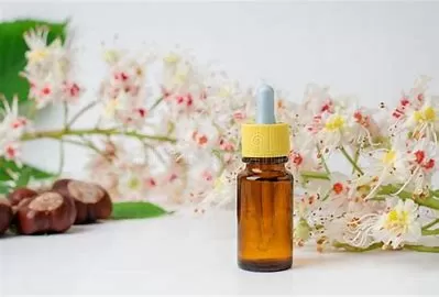 What does horse chestnut do in skincare?