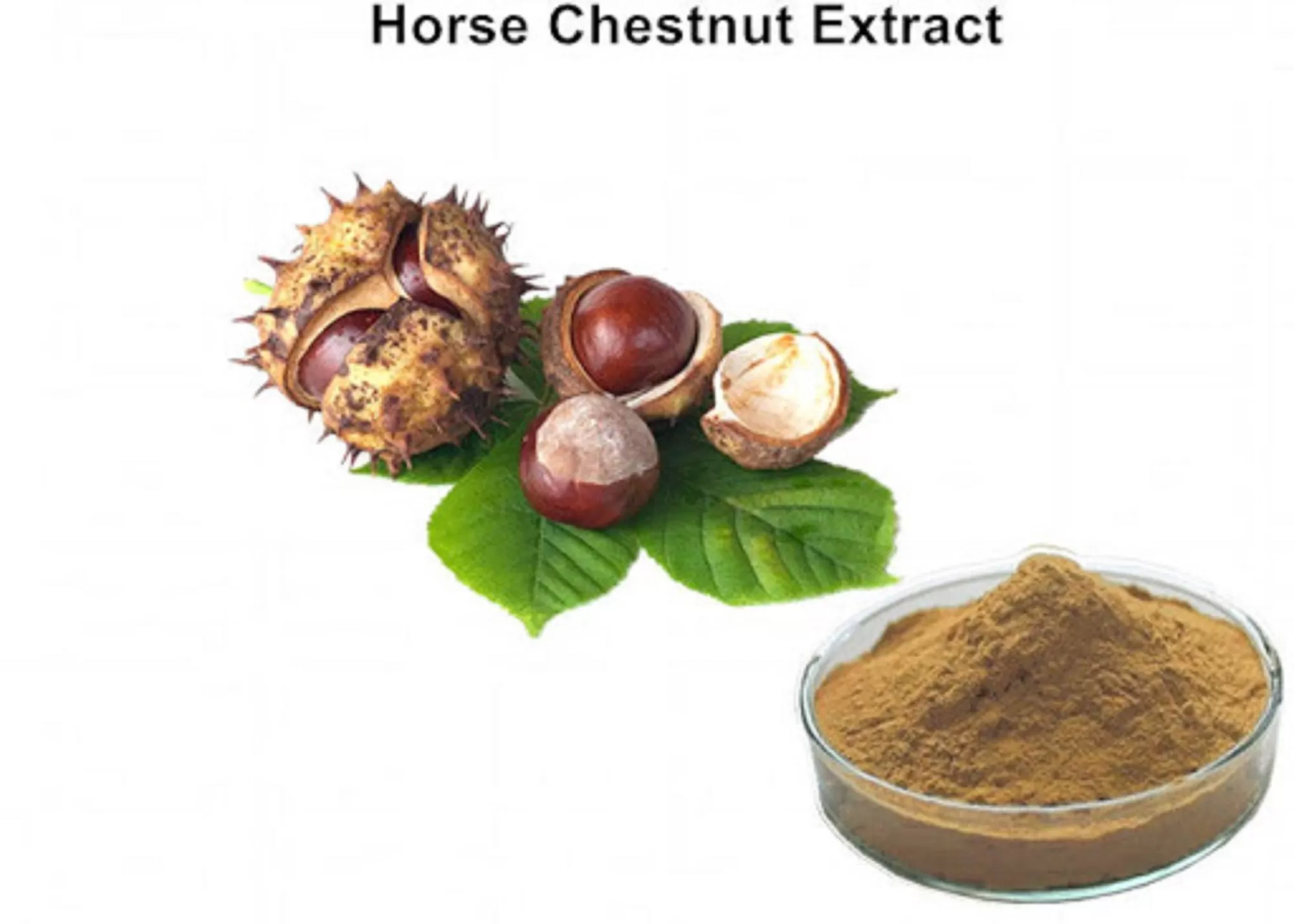  What is horse chestnut removal?