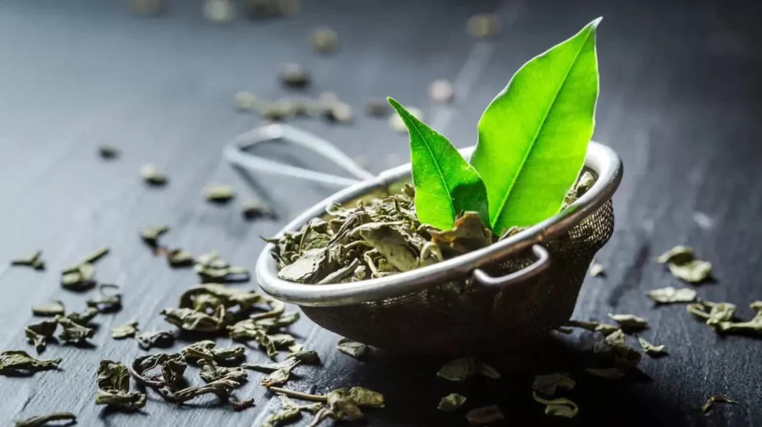 The Benefits and Uses of Leaf Extracts: Harnessing Nature's 