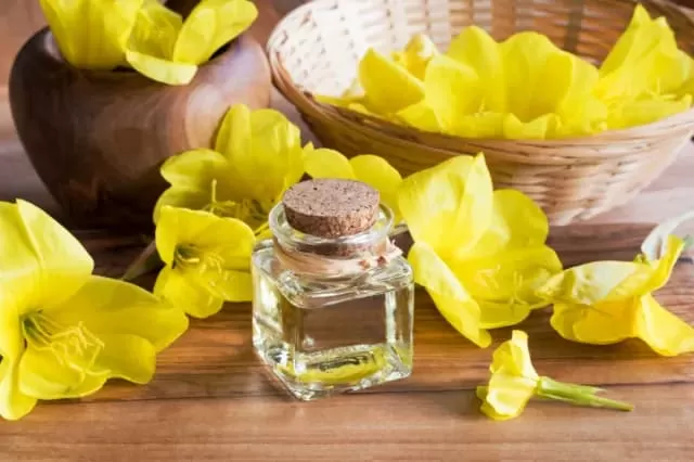Marigold: A Comprehensive Guide to its Uses and Benefits