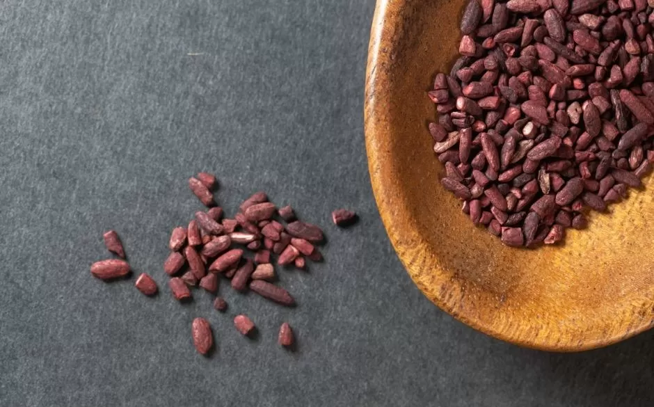 What is red rice yeast good for?