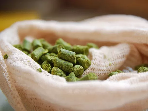 What does hops do for skin?