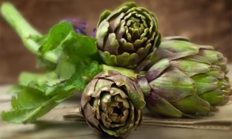 Milk Thistle vs. Artichoke Extract: Navigating Liver Health Through Herbal Supplements