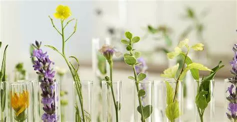 What is extract?