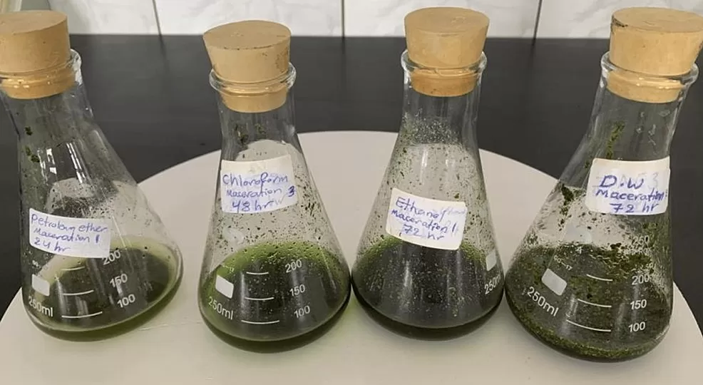 How long do plant extracts last?