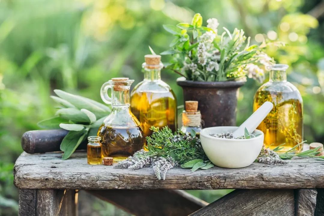  Differences: Plant Extracts vs. Essential Oils