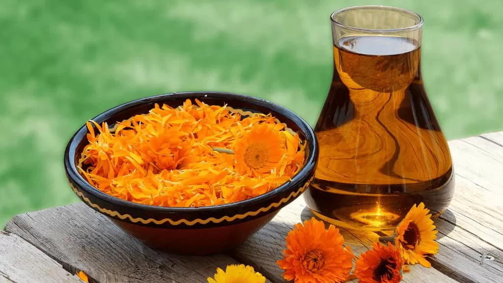 Benefits of Marigold for Kidney Health: A Scientific Perspec