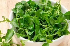 Watercress: Healthy Benfits and How to Harness