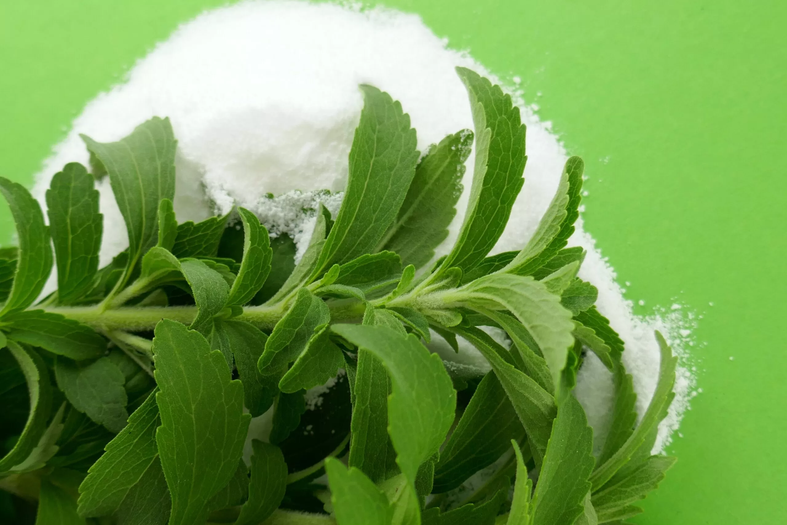 Fermented Stevia Extract Shows Promise Against Pancreatic Cancer