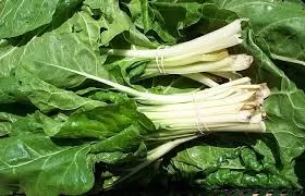 Swiss Chard: The Colorful Supergreen for Summer Health