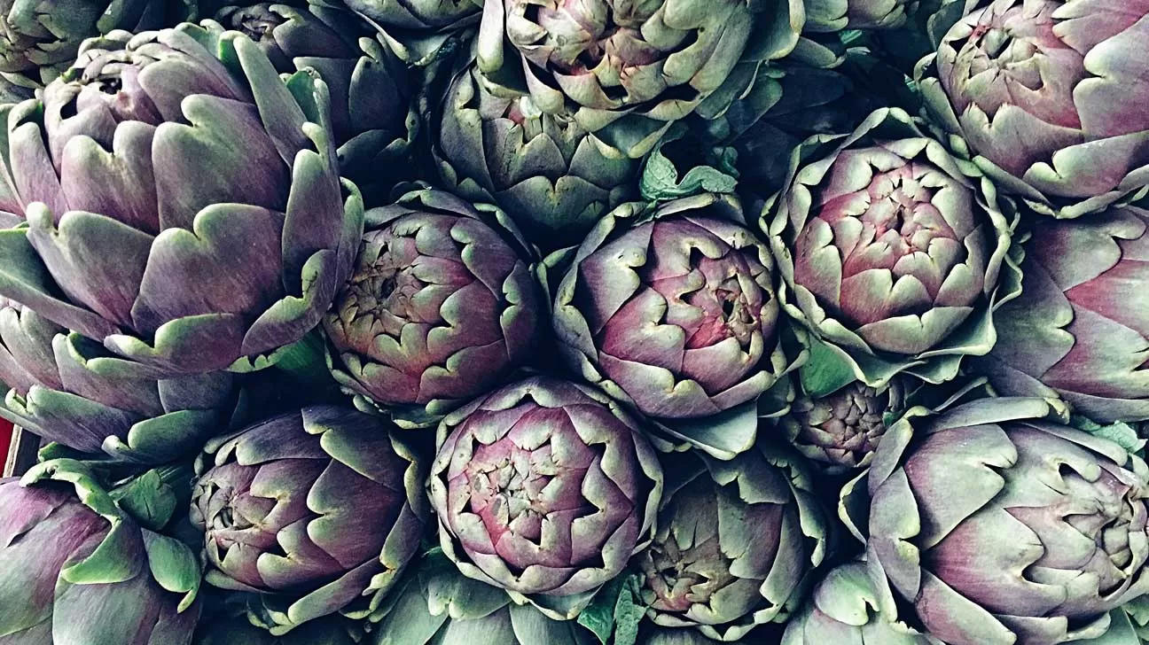 Who Should Avoid Milk Thistle? Risks and Contraindications