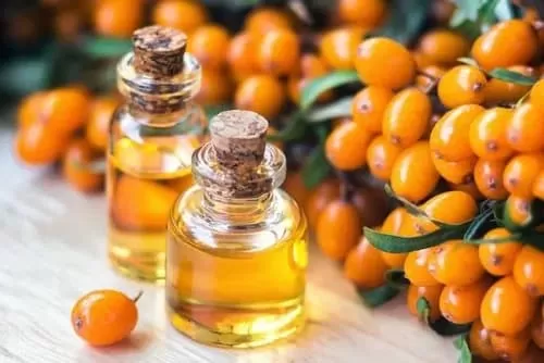Is sea buckthorn anti aging?