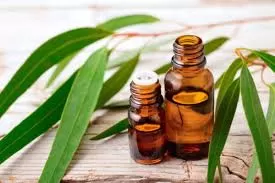  The Healing and Culinary Powers of Eucalyptol