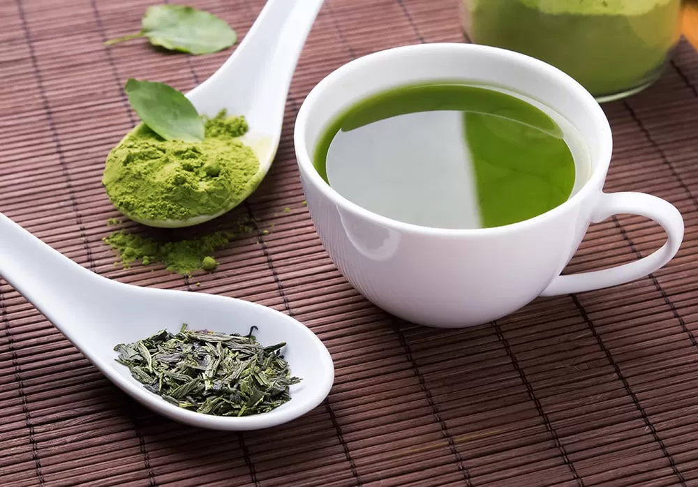 Hojicha vs. Matcha: Which Green Tea Offers Better Benefits?