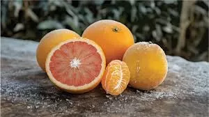 What foods are high in citrus bioflavonoids?