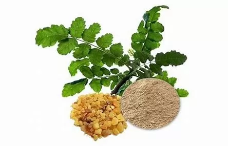 Uses of Boswellia Serrata Extract: A Comprehensive Guide