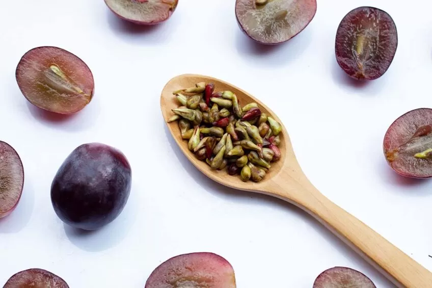 Grape Seed Extract in Collagen Production: A Comprehensive Analysis