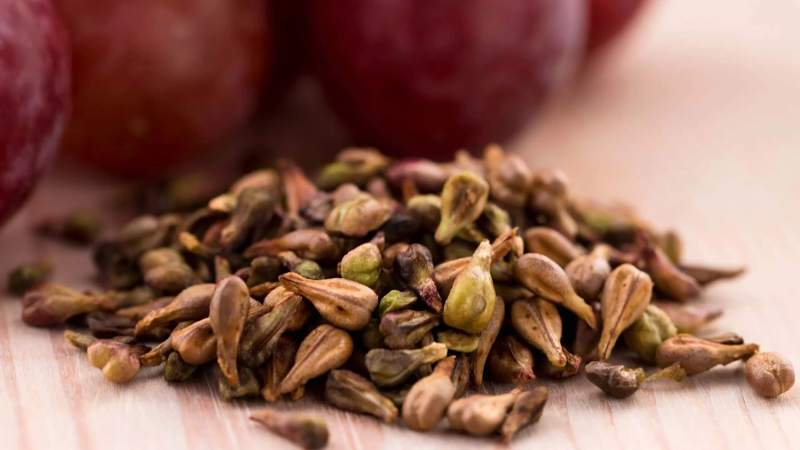 Can Grape Seed Extract Help with Fat Burning?
