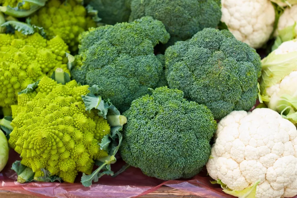 Broccoli and Other Cruciferous Vegetables Could Reduce Colon Cancer Risk, Study Finds