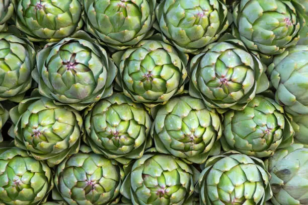 What is artichoke extract good for