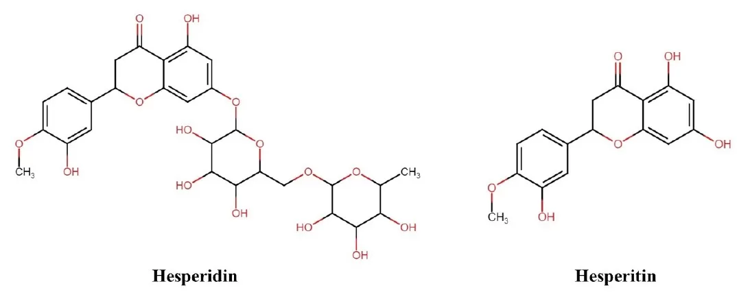 Hesperidin in Medicine: Exploring Its Therapeutic Uses and Benefits