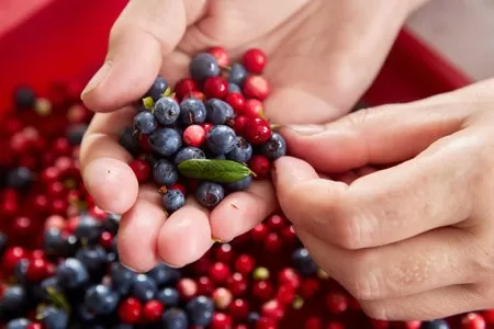 Are cranberries high in sugar?